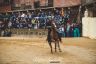 Palio Straordinario: la fotogallery delle Prove di Addestramento Mattutine